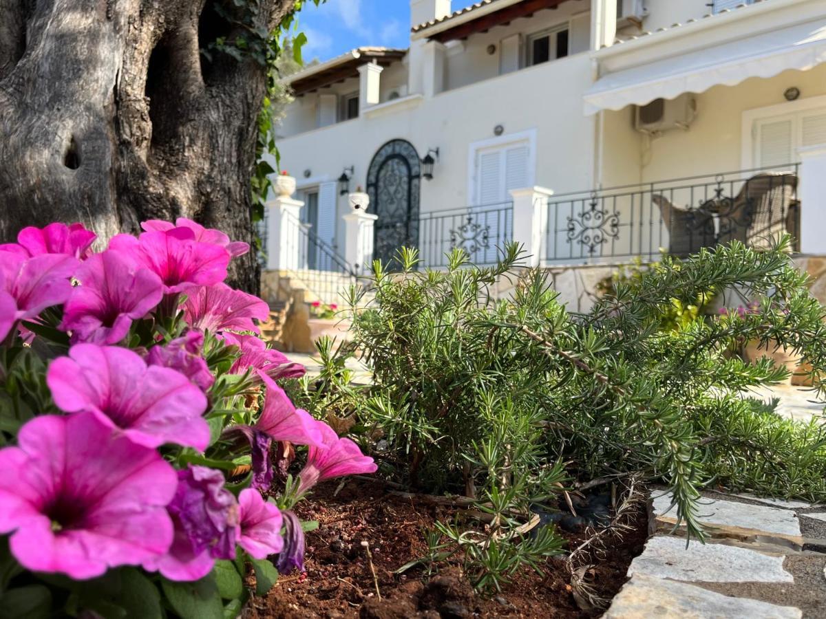 Villa Ampelaki "30 Meters To Beach" Paleokastritsa Dış mekan fotoğraf
